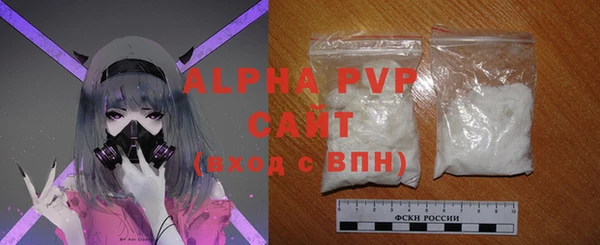 хмурый Абаза
