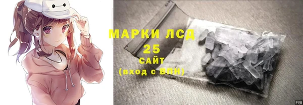 хмурый Абаза