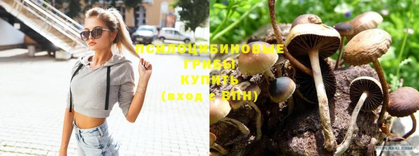 молекула духа Абинск