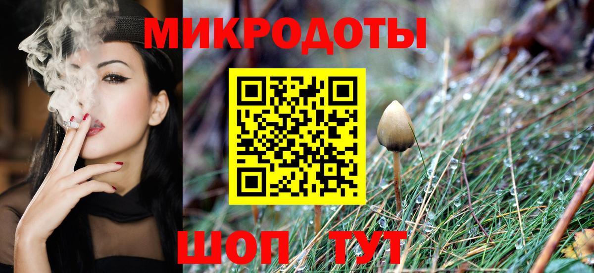 Алейск  Галлюциногенные грибы Magic Shrooms  Вход с VPN  Галлюциногенные грибы MAGIC MUSHROOMS 