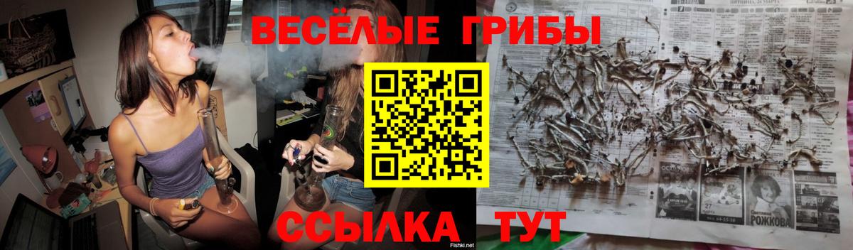 Псилоцибиновые грибы ЛСД Алейск