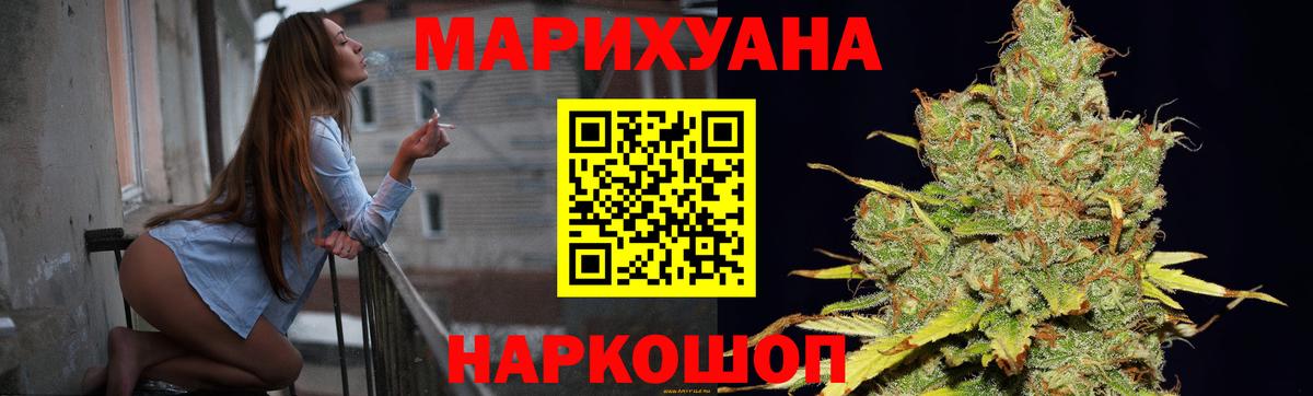 Каннабис сатива Алейск
